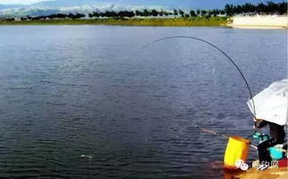 秘制不散开饵料配方,钓鱼不再空手而归!