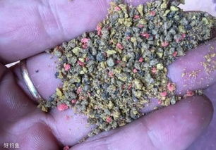 夹猪钓鱼饵料怎么配比好?手把手教你调制高效饵料!