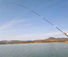 抛竿钓鱼饵料放置的黄金法则,让鱼儿主动上钩的秘籍