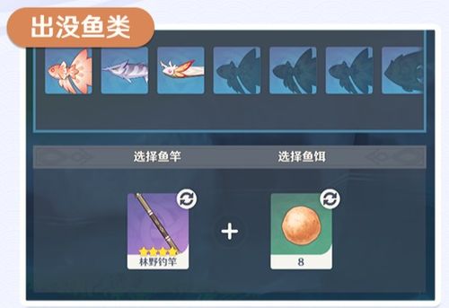 钓鱼饵料怎么玩?这份视频教程让你轻松上手!