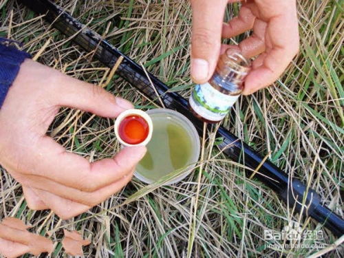 钓鱼饵料提杆器使用方法详解，从新手到高手的完整教程