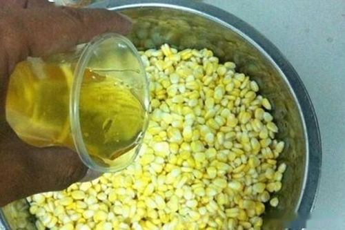 海竿钓鱼饵料DIY指南，在家轻松自制，钓获翻倍秘籍