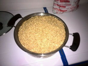 螺蛳挂肉饵料钓鱼全攻略，从入门到精通，手把手教你制作高效饵料！