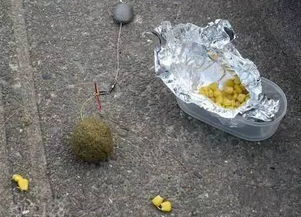 自制鱼塘钓鱼饵料的全面指南