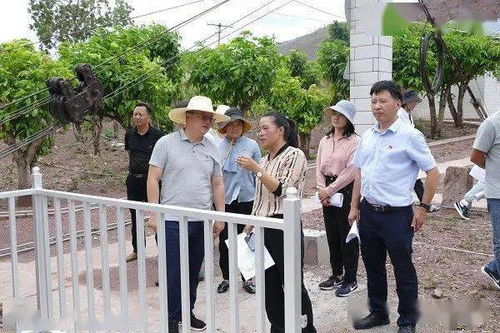 香蕉钓鱼饵料的简易制作指南