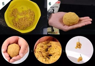 钓鱼饵料怎么留钩最好用