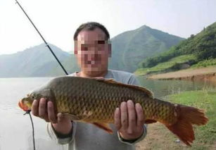 黑坑钓鲟鱼饵料秘籍，从调制到实战应用