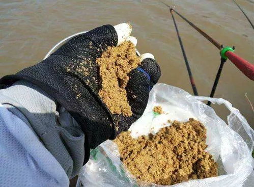 枣泥钓鱼饵料怎么用得好？这份秘籍让你鱼儿争先恐后