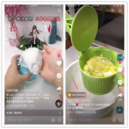 掌握波仔钓鱼饵料的使用秘籍，看这些视频就够了！