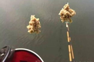 钓鱼饵料不散秘籍,掌握这5个诀窍,鱼儿一口咬不停!