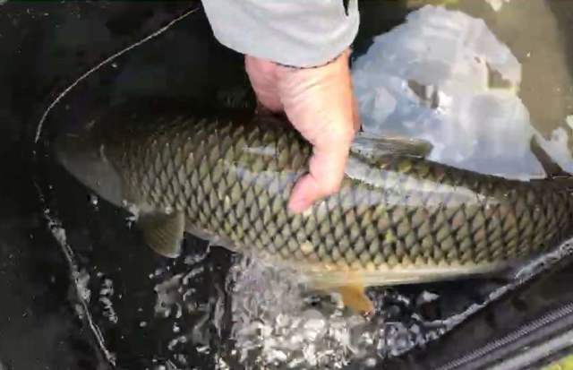 钓大鱼的秘密，来鱼快的饵料配制全攻略