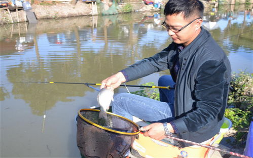 钓鱼饵料怎么放不掉钩呢?