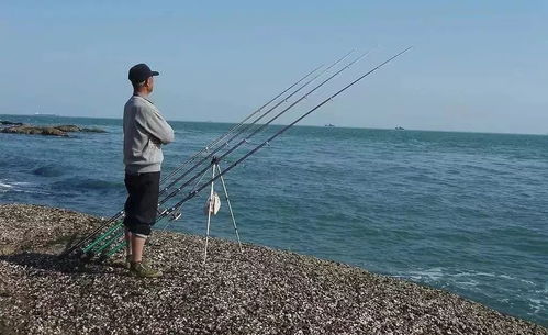 老杨钓鱼饵料使用全攻略，从新手到高手的垂钓秘籍