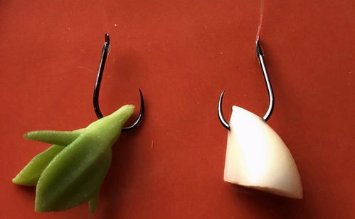 钓鱼饵料怎么做好吃?这份超详细盘点让你鱼儿疯狂咬钩!