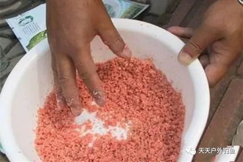 芝麻糊钓鱼饵料怎么用？手把手教你用视频掌握这份美味诱惑