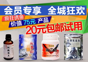 钓鱼饵料盒收纳指南，让您的钓具管理更高效