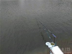 黄河水域垂钓，精准开饵的秘诀与实战技巧