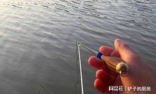 钓鱼饵料怎么增加重量的?这5种方法让鱼饵沉底更稳!