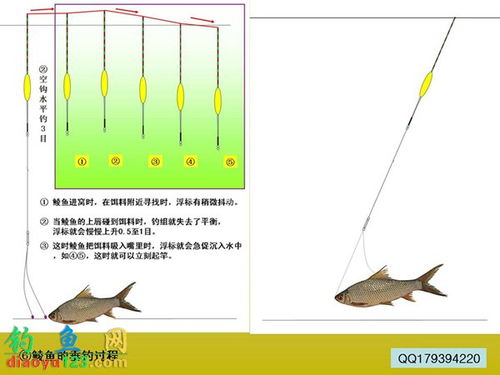 钓鱼饵料结构图绘制指南