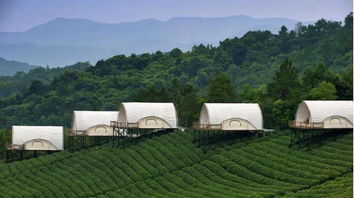 出太阳钓鱼饵料怎么调漂？这份调漂秘籍请收好！
