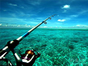 手竿海钓饵料全攻略，从入门到精通的饵料选择与使用技巧