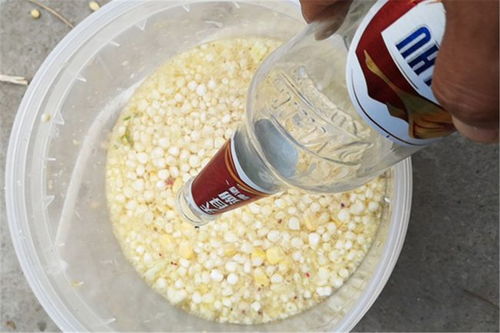 手竿钓鱼饵料怎么拌最好？这份秘籍请收好！