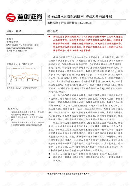钓鱼饵料总结报告撰写指南，从框架到实战应用