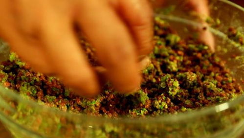 松针水，钓鱼饵料的秘密武器