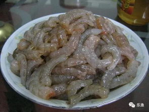 钓鱼饵料虾怎么腌制好?这份秘制配方让你鱼获翻倍!