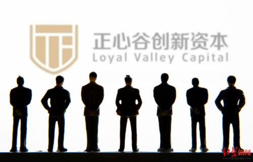 高瓴、正心谷出手!“资深专业机构投资者”,再现科创板!