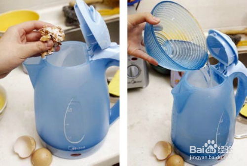 鸡蛋壳变废为宝，自制钓鱼饵料的秘诀