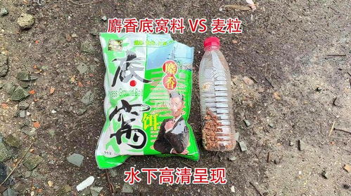专哥钓鱼饵料怎么样?深度评测与使用体验
