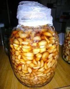 葡萄干,钓鱼饵料中的天然诱惑