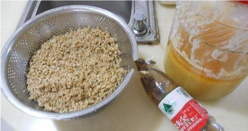 钓鱼饵料制作全攻略，主要配料与黄金比例解析