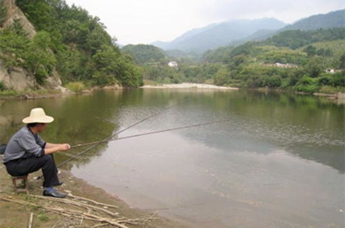初夏山体水库钓鱼饵料配制全攻略