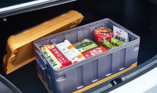 钓鱼饵料盒收纳指南,让您的钓鱼装备更整洁