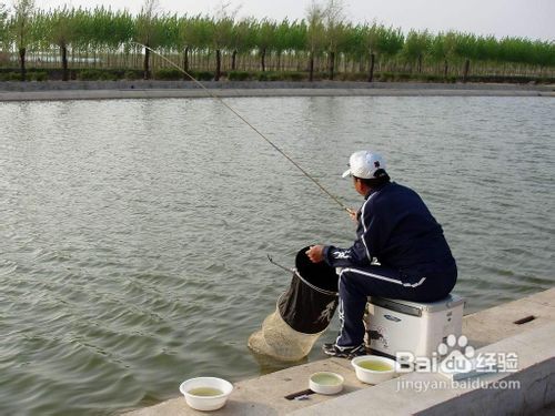 钓鱼饵料海竿水库怎么用，从入门到精通的实战指南