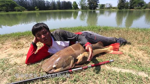 钓鱼饵料怎么弄？手把手教你自制诱鱼神器！