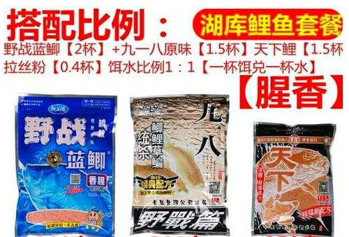 钓到大鱼的秘密，饵料选择与技巧全解析