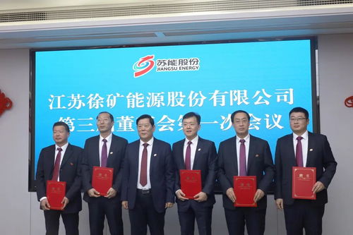 大有能源:河南大有能源股份有限公司董事、高级管理人员离职管理制度