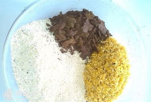 冬季黑坑钓鱼饵料黄金配制秘方，轻松诱鱼爆护！