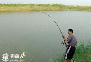 海竿钓鱼饵料怎么样，全面解析与选择指南