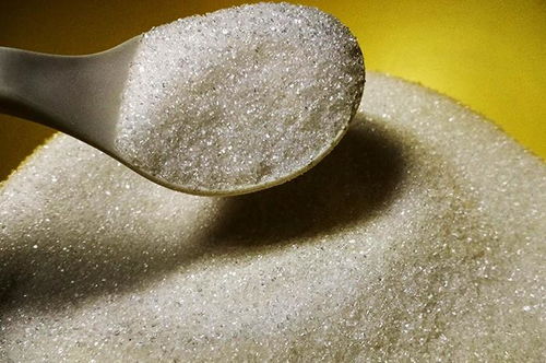 钓鱼高手的秘密武器，饵料添加剂的科学使用指南