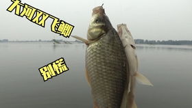 蛋仔农场钓鱼饵料怎么获得，全面指南