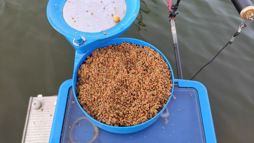 小型钓鱼饵料盘的使用方法与技巧，附视频教程