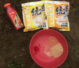 阿弟爱钓鱼饵料怎么用视频，从菜鸟到高手的饵料秘籍大公开！