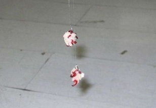 红虫怎么选？这5个技巧让你鱼儿疯狂咬钩！