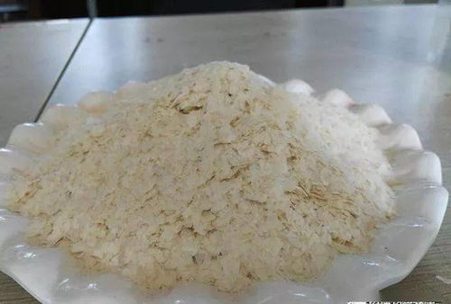 新手如何使用大飞鸟钓鱼饵料 新手如何使用大飞鸟钓鱼饵料