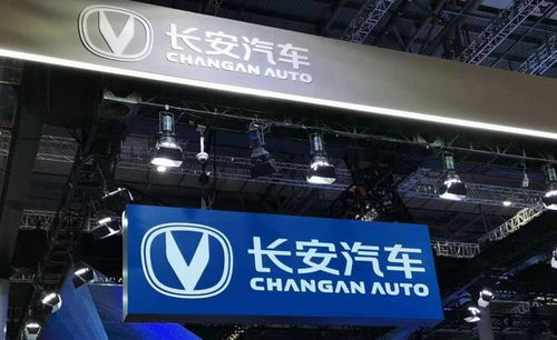 长安汽车(000625.SZ)：公司未参股至信股份