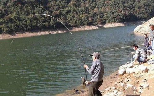 钓鱼饵料入水易化怎么办，解决方法与技巧